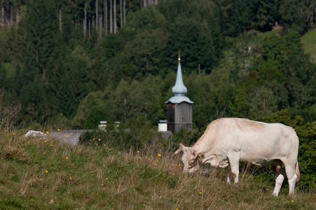 Villa Grundnerhof Arriach Exterior foto